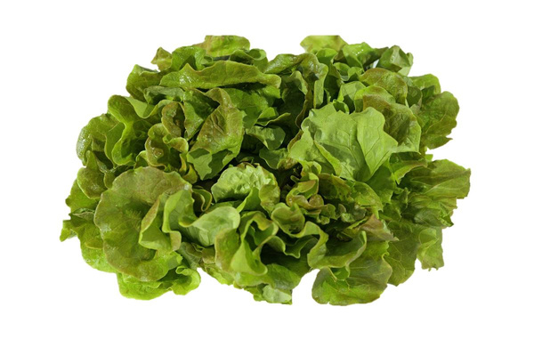 Produktfoto zu Batavia rot