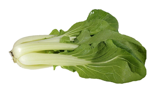 Produktfoto zu Pak Choi