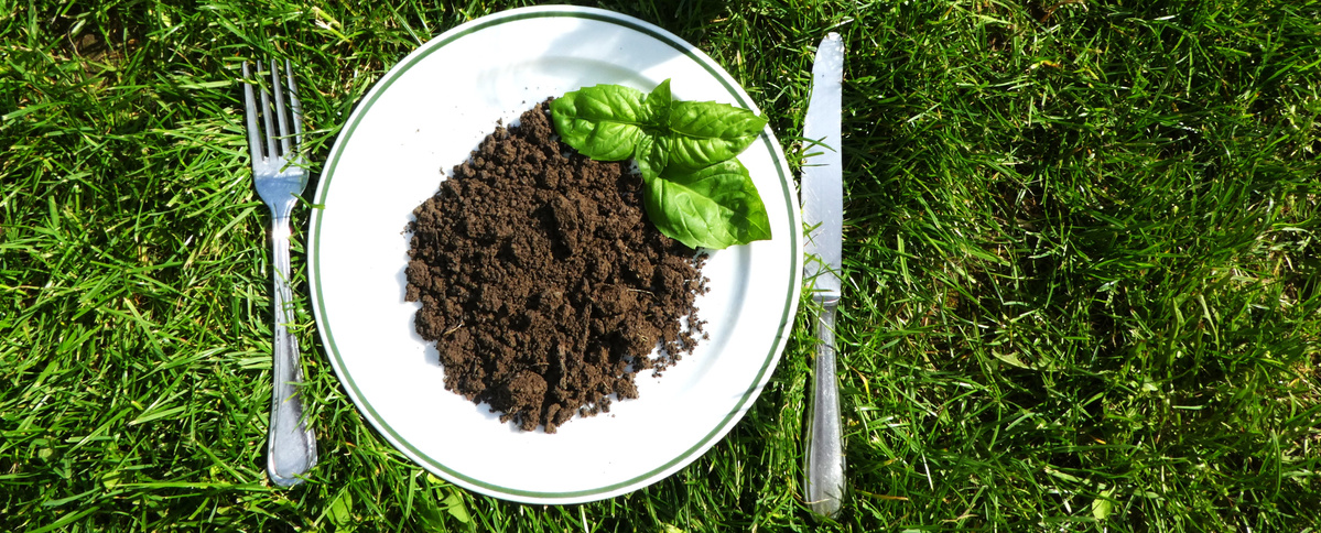 KI generiert: Ein Teller mit Erde und Basilikum auf Gras, daneben Besteck.