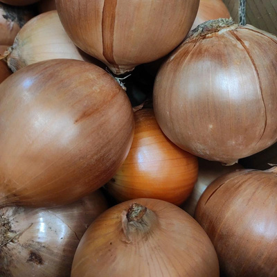 Produktfoto zu Gemüsezwiebel