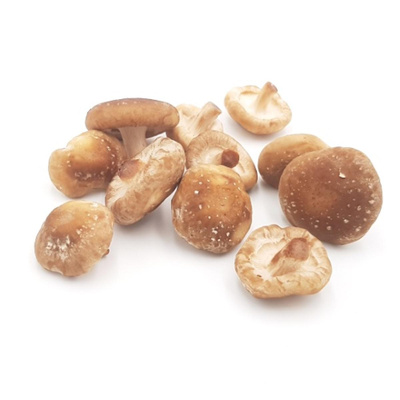 Produktfoto zu Shii-Take Pilze