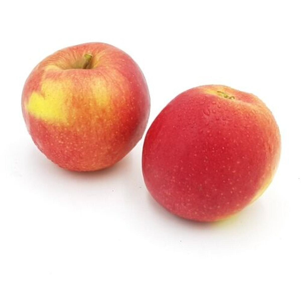 Produktfoto zu Frühapfel Sorte "Estelle"