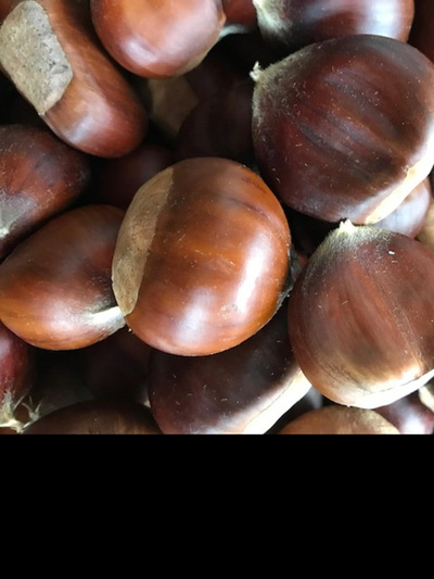 Produktfoto zu Esskastanien