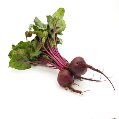 Produktfoto zu Rote Bete Bund