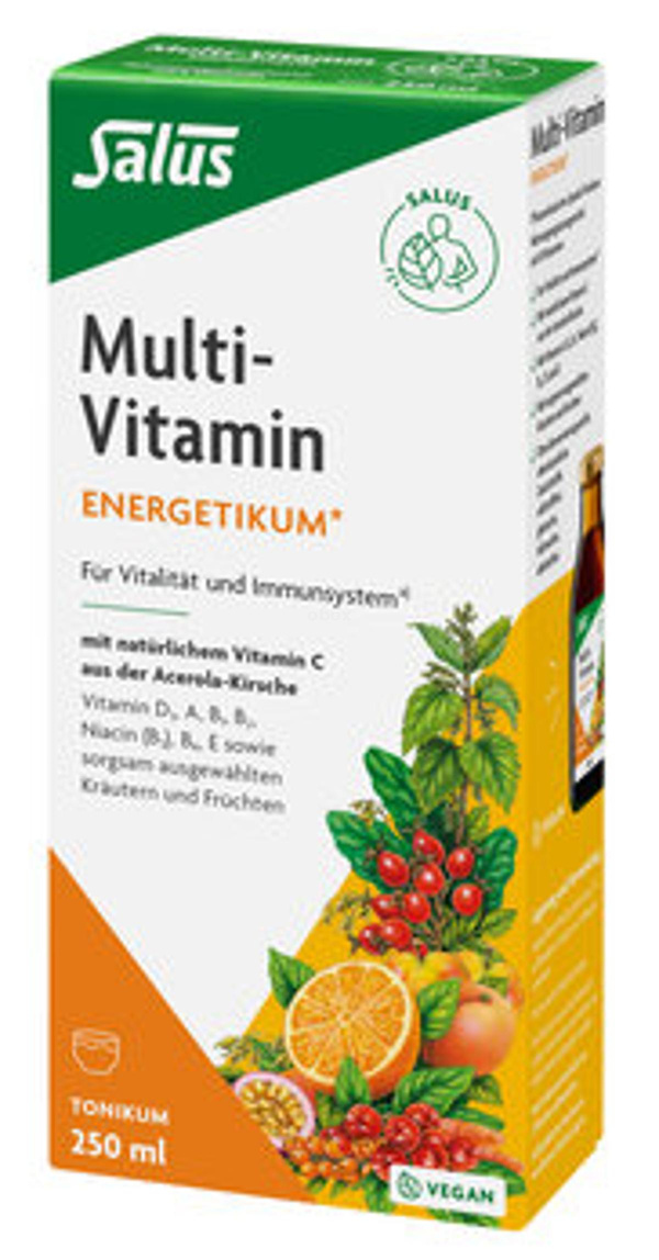 Produktfoto zu Salus Multi-Vitamin-Energetikum